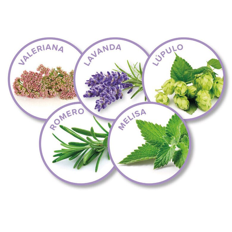 Beaphar No-Stress Difusor e Recarga Anti Stress para cães,  Imagem número 3 Beaphar No-Stress Difusor e Recarga Anti Stress para cães, , large Imagem número 3