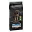 Pro Plan Adult Large Robust Digestão Cordeiro ração para cães, , large Indicador imagem número 1