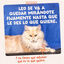 12 x 85 g Edgard & Cooper Feasts from the farm em molho em saqueta para gatos, , large Indicador imagem n&uacute;mero 10