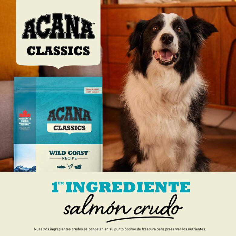 14.5 kg Acana Classics Wild Coast Peixe Ração para cães,  Imagem número 2 14.5 kg Acana Classics Wild Coast Peixe Ração para cães, , large Imagem número 2