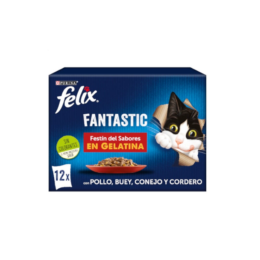 12 saquetas x 85 g Felix Sele&ccedil;&atilde;o de carnes em gelatina - Multipack, , large Imagem n&uacute;mero 1