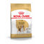 12 kg Royal Canin Adult Beagle ração para cães, , large Indicador imagem número 1