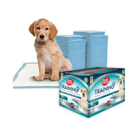 Simple Solution Resguardos para c&atilde;es