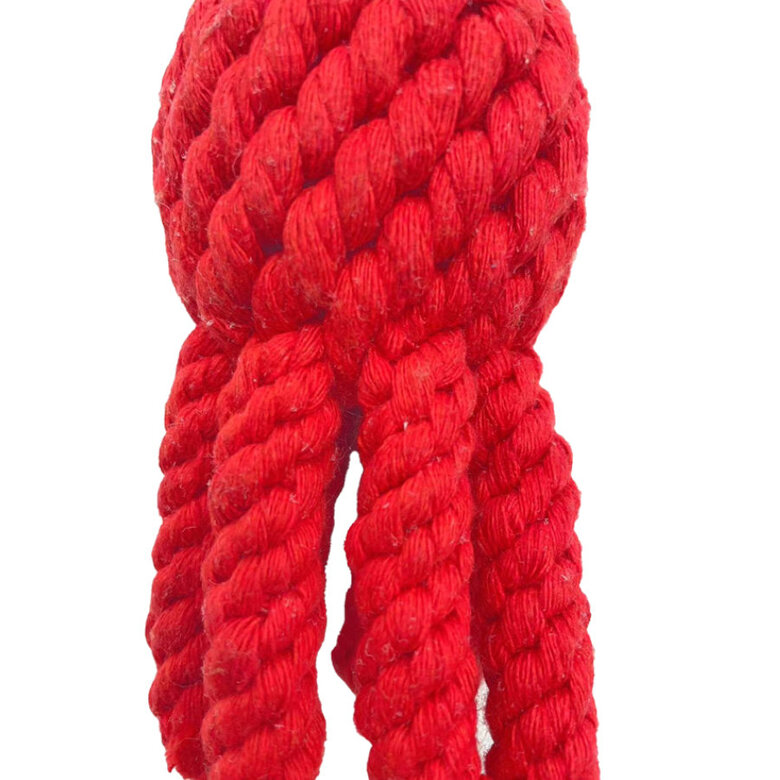 Tootoy! Comfort Octopus & Sea brinquedo com corda para cães,  Imagem número 3 Tootoy! Comfort Octopus & Sea brinquedo com corda para cães, , large Imagem número 3