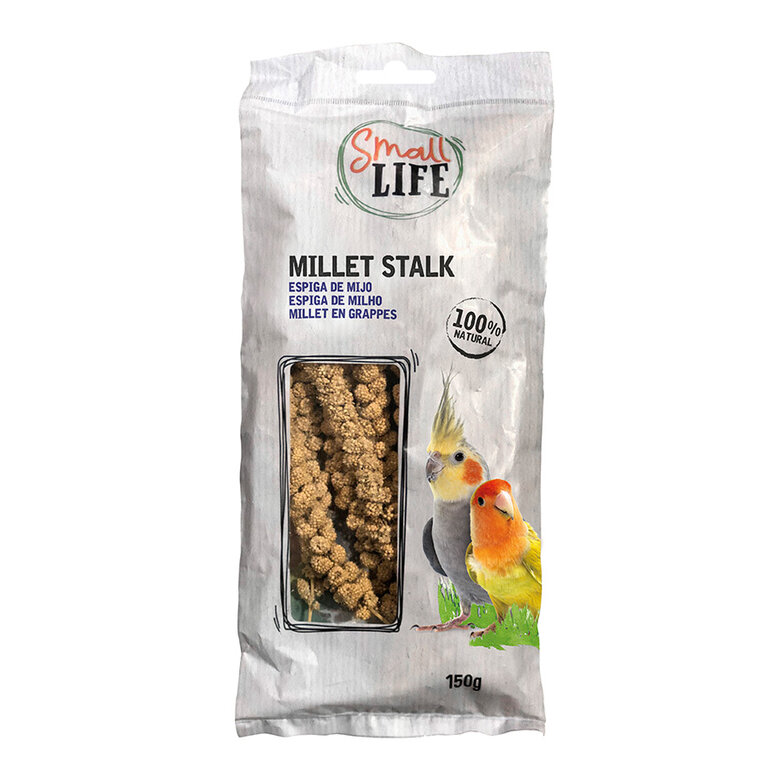 comida_pajaros_small_life_espiga_mijo_front_SML88357.jpg Imagem número 1 comida_pajaros_small_life_espiga_mijo_front_SML88357.jpg Imagem número 1