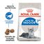 3.5 kg Royal Canin Home Life Indoor 7+ ração para gatos, , large Indicador imagem número 2