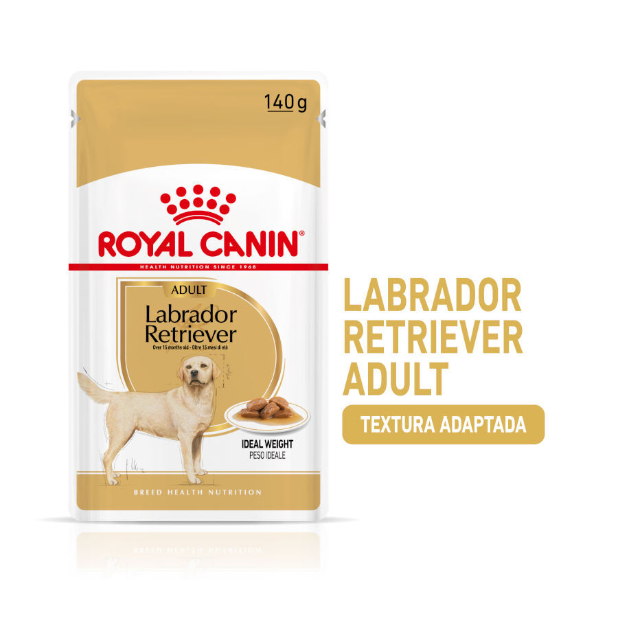 140 g Saquetas Royal Canin Labrador 140g, , large Imagem n&uacute;mero 2