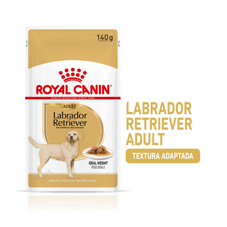 140 g Saquetas Royal Canin Labrador 140g,  Imagem número 2 140 g Saquetas Royal Canin Labrador 140g, , large Imagem número 2