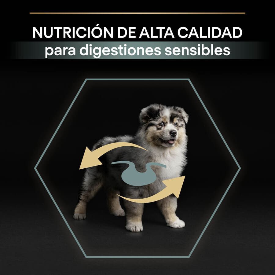 12 kg Pro Plan Puppy  Medium Digest&atilde;o Cordeirora&ccedil;&atilde;o para c&atilde;es, , large Imagem n&uacute;mero 8