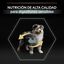 12 kg Pro Plan Puppy  Medium Digestão Cordeiroração para cães, , large Indicador imagem número 8