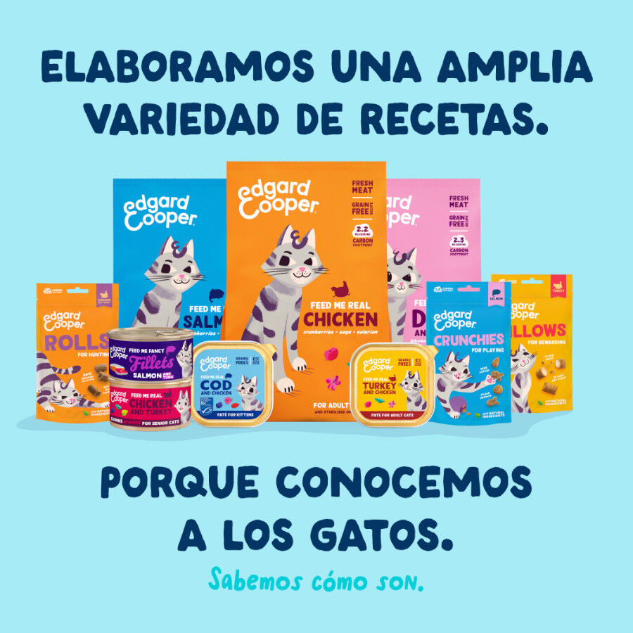 70 g Edgard & Cooper Alimento h&uacute;mido de atum e lula em lata para gatos, , large Imagem n&uacute;mero 8