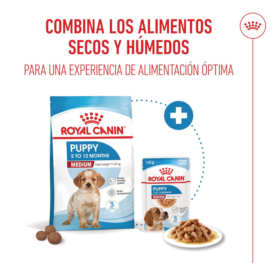 15 kg Royal Canin Puppy Medium ra&ccedil;&atilde;o para c&atilde;es, , large Imagem n&uacute;mero 6