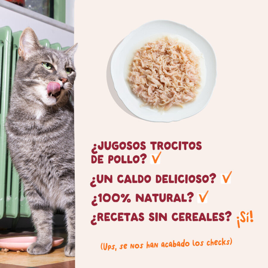 70 g Edgard & Cooper Filetes de Pollo Lata para gatos, , large Imagem n&uacute;mero 4