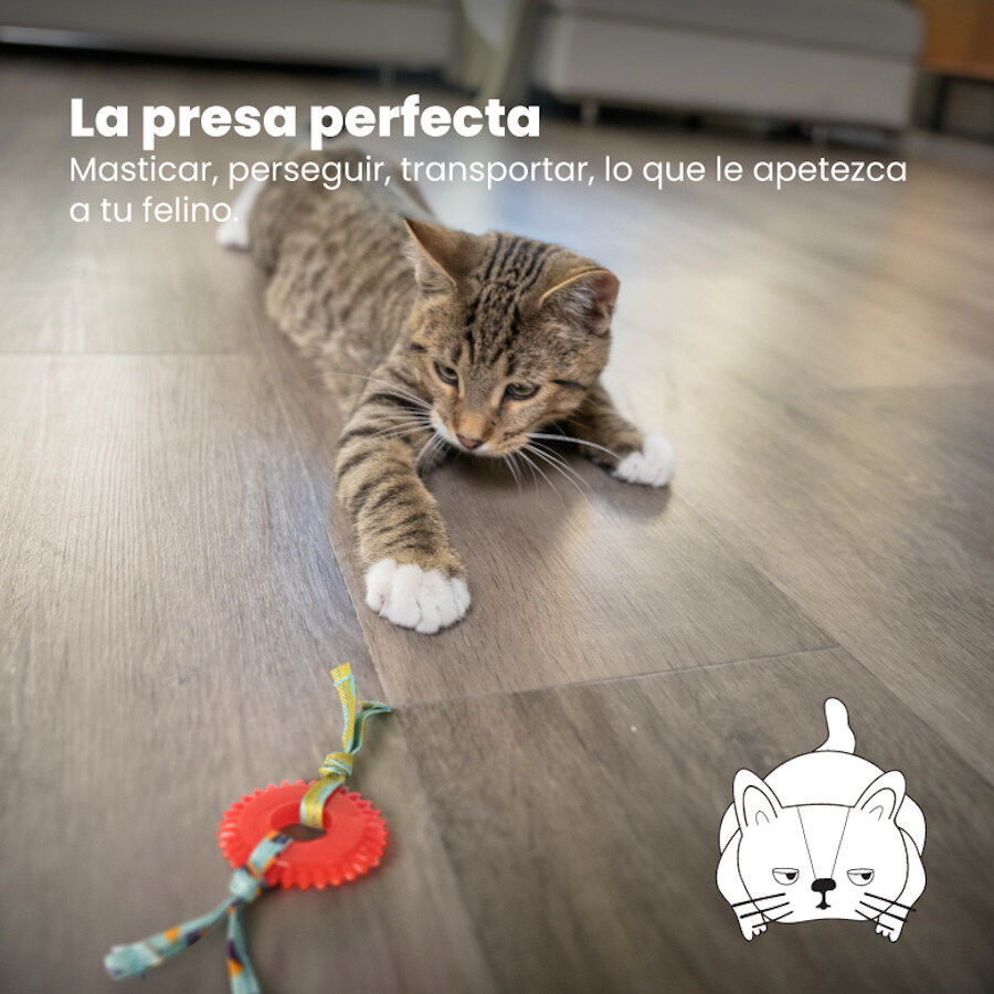 Catstages Kitty Chew Vermelha Brinquedo Roda Mordedora para gatos, , large Imagem n&uacute;mero 2