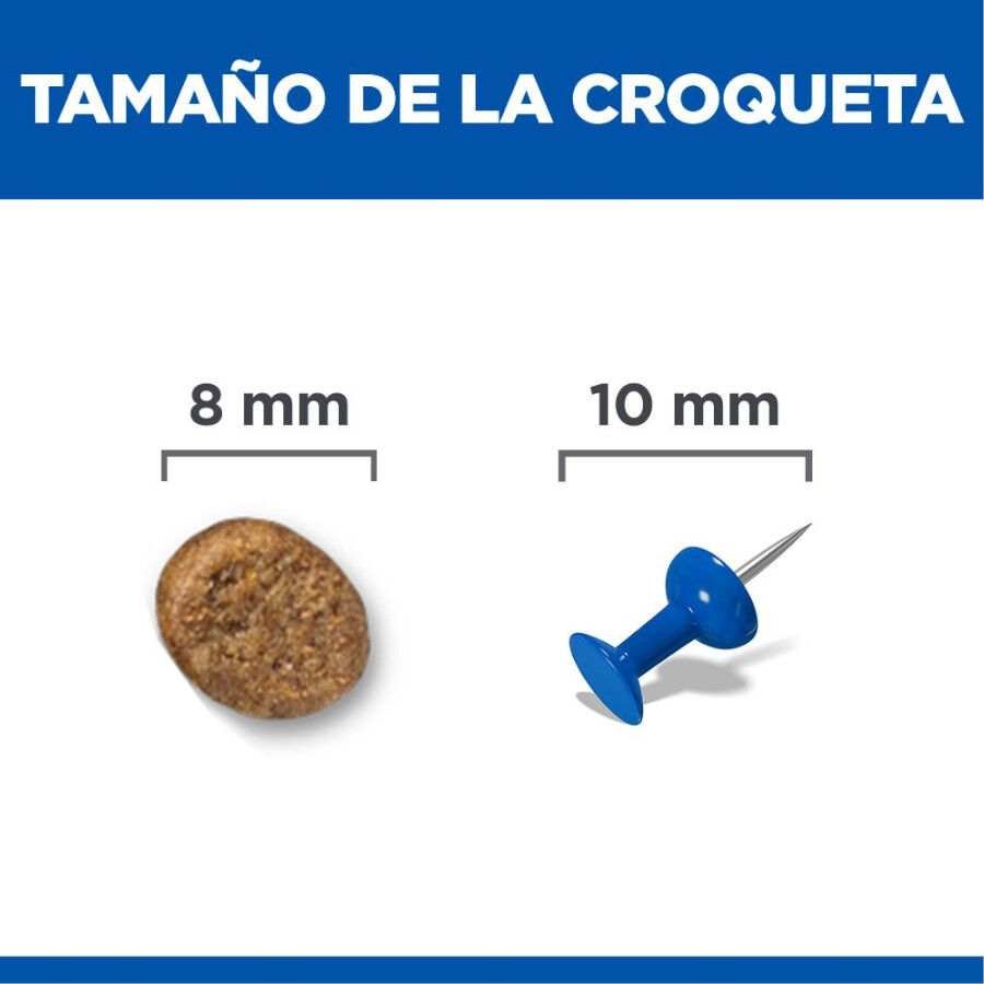 7 kg Hill's Science Plan Perfect Weight Adult frango ra&ccedil;&atilde;o para gatos, , large Imagem n&uacute;mero 4