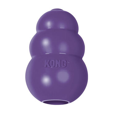 Kong Senior Mordedor para cães