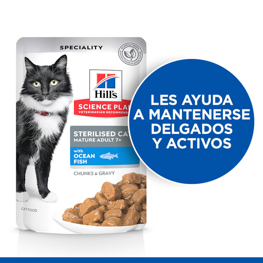 2 saquetas x 85 g Hill's Science Plan Sterilised Mature Peixe Oce&aacute;nico saqueta de molho para gatos Pack poupan&ccedil;a!, , large Imagem n&uacute;mero 3