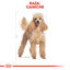 85 g Royal Canin Adult Poodle Patê saqueta para cães, , large Indicador imagem número 3
