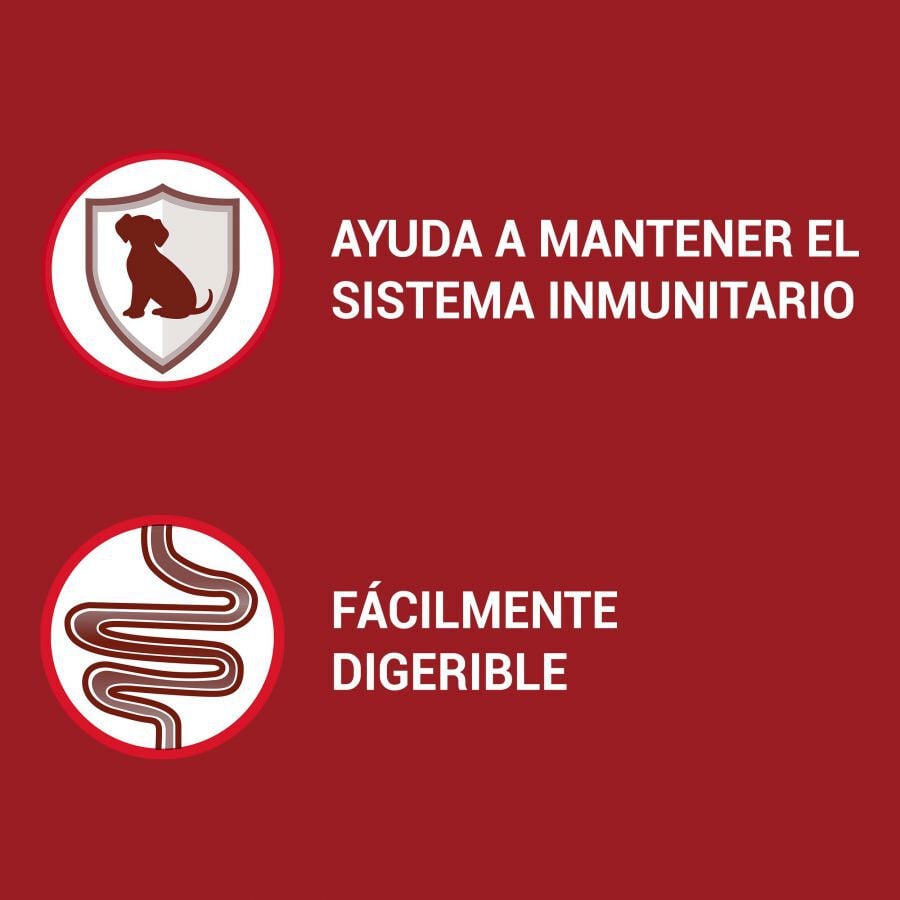 4 saquetas x 100 g Purina One Mini Adult frango e cordeiro saqueta para c&atilde;es , , large Imagem n&uacute;mero 3