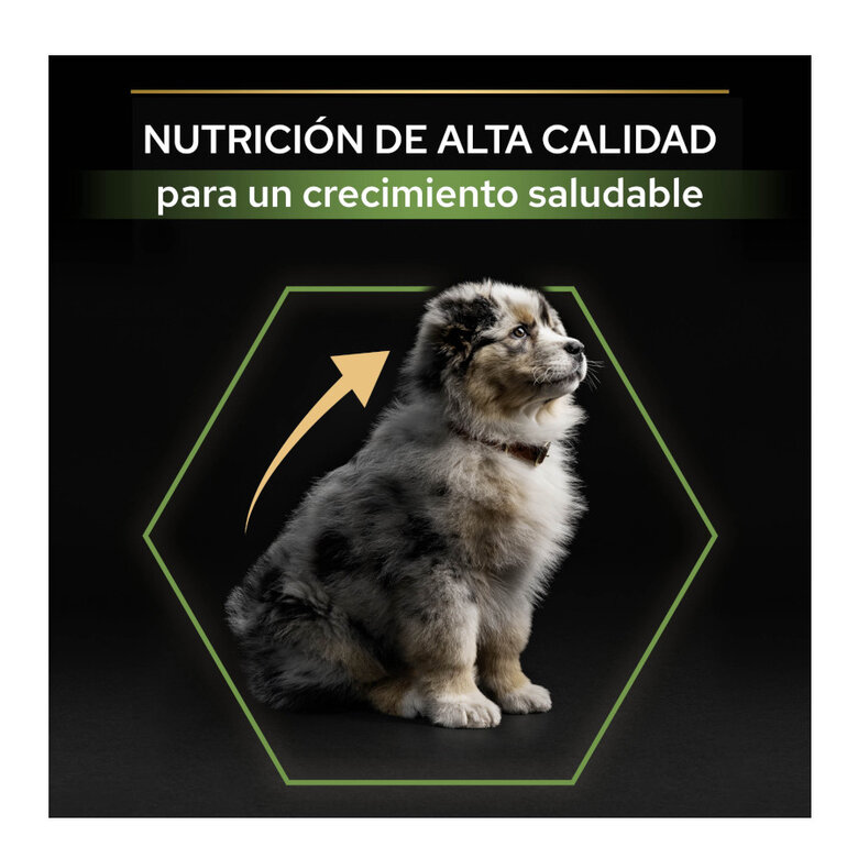 14 kg (12 + 2 kg grátis!) Pro Plan Puppy Medium Frango ração para cachorros,  Imagem número 8 14 kg (12 + 2 kg grátis!) Pro Plan Puppy Medium Frango ração para cachorros, , large Imagem número 8