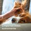Beaphar Limpador de Orelhas para animais de estimação, , large Indicador imagem número 6