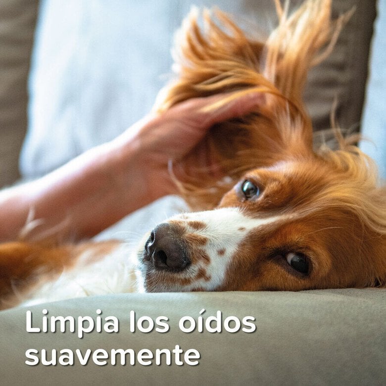 Beaphar Limpador de Orelhas para animais de estimação,  Imagem número 6 Beaphar Limpador de Orelhas para animais de estimação, , large Imagem número 6