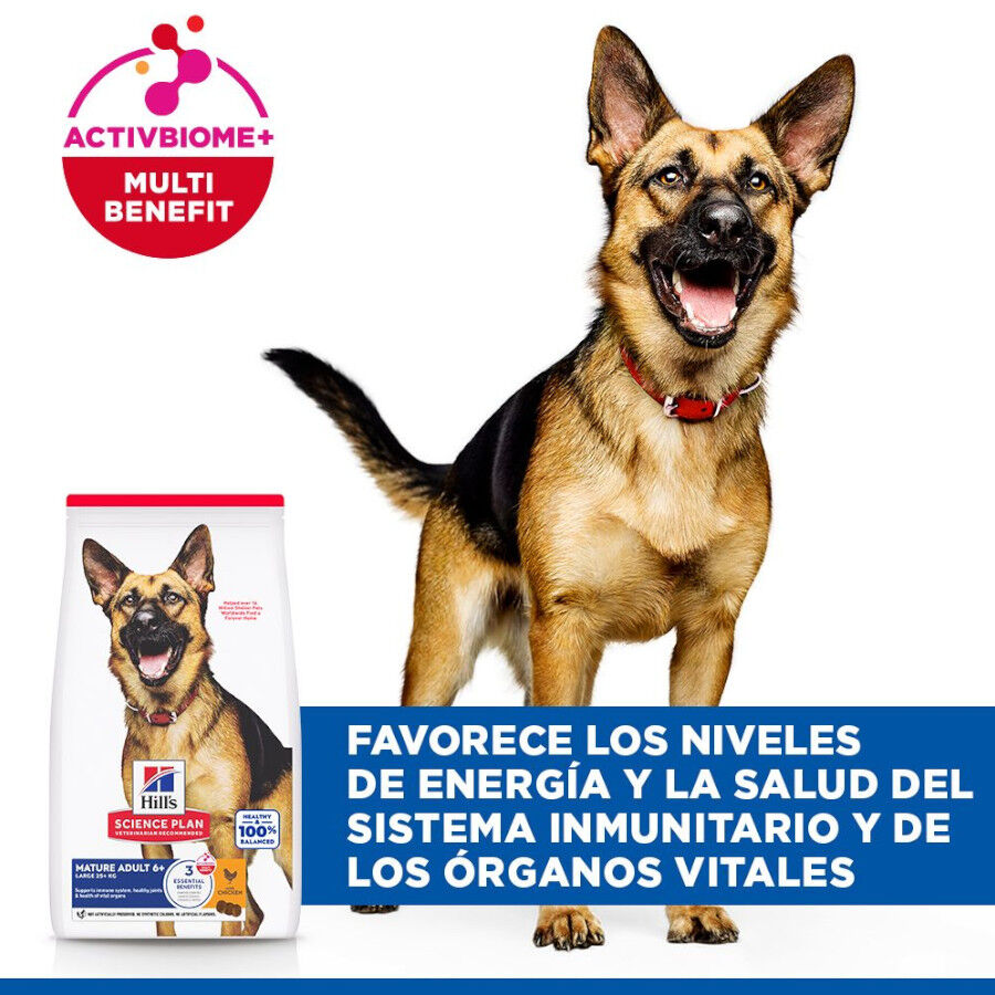 18 kg Hill's Science Plan Mature Adult Large Frango ra&ccedil;&atilde;o para c&atilde;es, , large Imagem n&uacute;mero 4