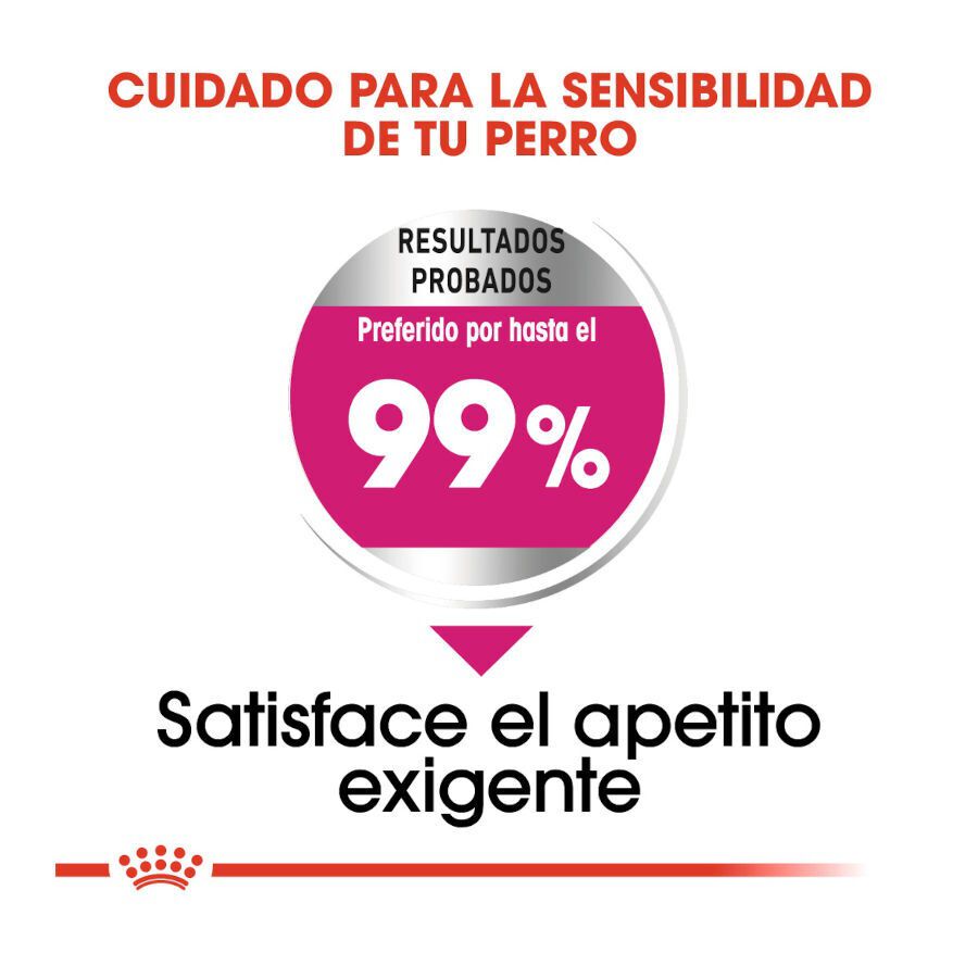 3 kg Royal Canin Exigent Mini ra&ccedil;&atilde;o para c&atilde;es, , large Imagem n&uacute;mero 6