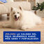 Ceva Douxo Spa Shedding Control Shampoo para cães, , large Indicador imagem número 6