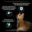 85 g Pro Plan Sterilised Maintenance saquetas com vaca em molho para gatos , , large Indicador imagem número 4
