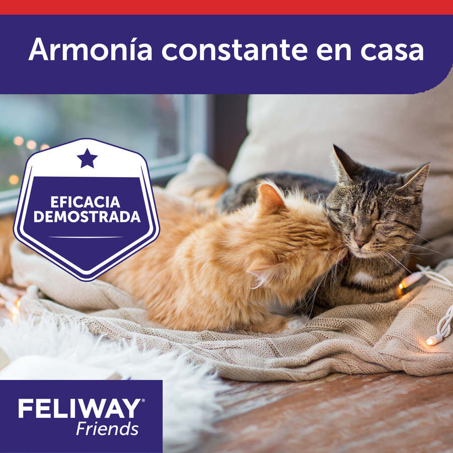 Feliway Friends Difusor + Recarga para gatos, , large Imagem n&uacute;mero 5