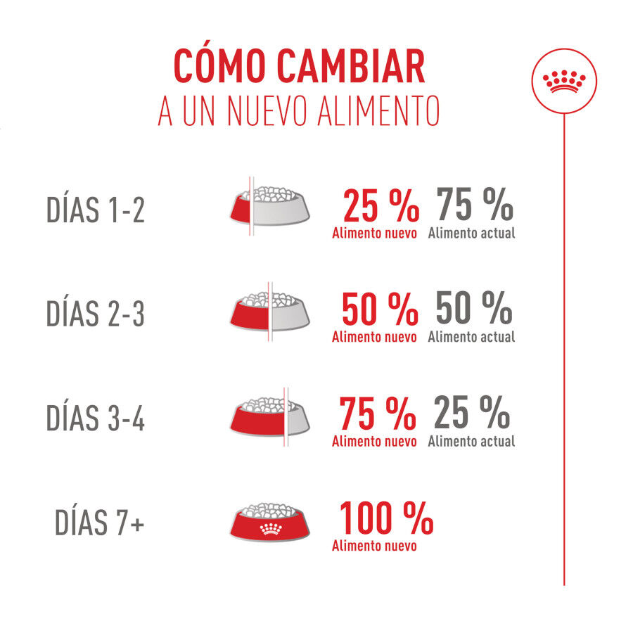 10 kg Royal Canin Fussy Exigent Ra&ccedil;&atilde;o de ave para gatos, , large Imagem n&uacute;mero 11