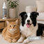 Nice Care Ambientador Eliminador de Odores para c&atilde;es e gatos, , large Indicador imagem n&uacute;mero 2