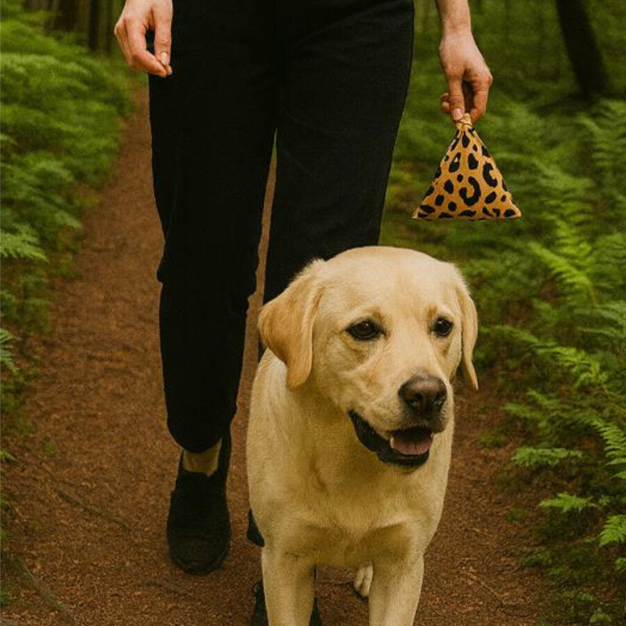 Nice Care sacos higi&eacute;nicos premium com padr&atilde;o para c&atilde;es, , large Imagem n&uacute;mero 4