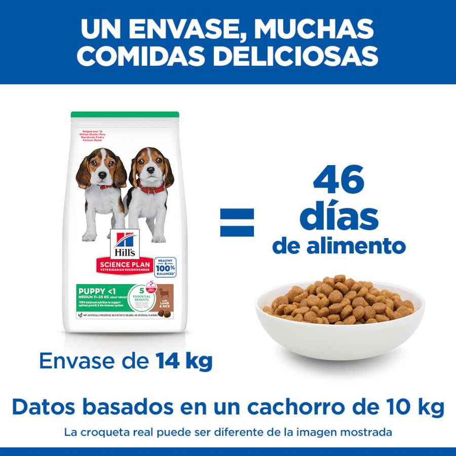 2.5 kg Hill's Science Plan Puppy Medium Ra&ccedil;&atilde;o de cordeiro e arroz para c&atilde;es, , large Imagem n&uacute;mero 6