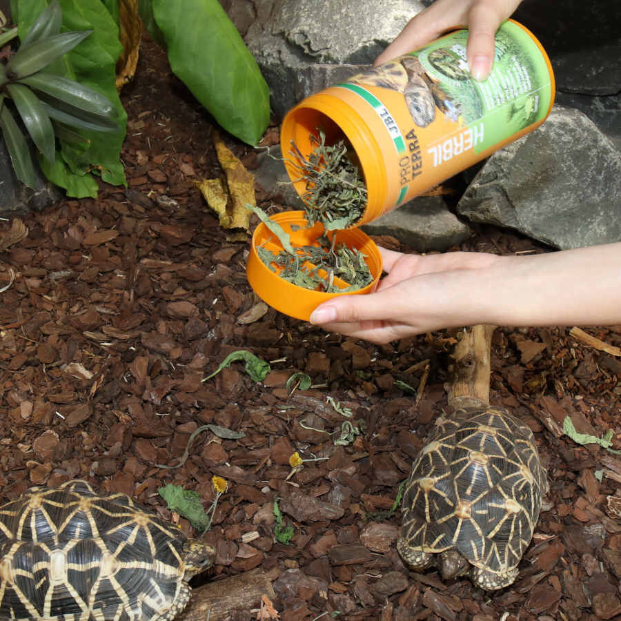 Alimento JBL Proterra Herbil para tartarugas, , large Imagem n&uacute;mero 6