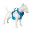 Freedog Cool Pro Tech Peitoral Azul para cães, , large Indicador imagem número 10