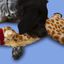 Wonder Christmas Girafa de Circo peluche de Natal para cães , , large Indicador imagem número 5
