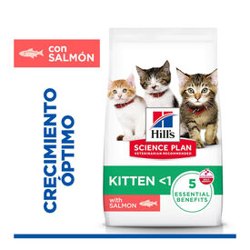 Hill's Science Plan Ra&ccedil;&atilde;o de salm&atilde;o para gatinhos