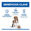 200 g Hill's Science Plan PuppyeMother Mousse de Frango em lata para c&atilde;es , , large Indicador imagem n&uacute;mero 4