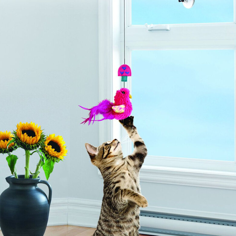 Kong Active Cana com pássaro de peluche para gatos,  Imagem número 2 Kong Active Cana com pássaro de peluche para gatos, , large Imagem número 2