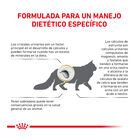 Royal Canin Veterinary Urinary Moderate Calorie ração para gatos , , large image number null