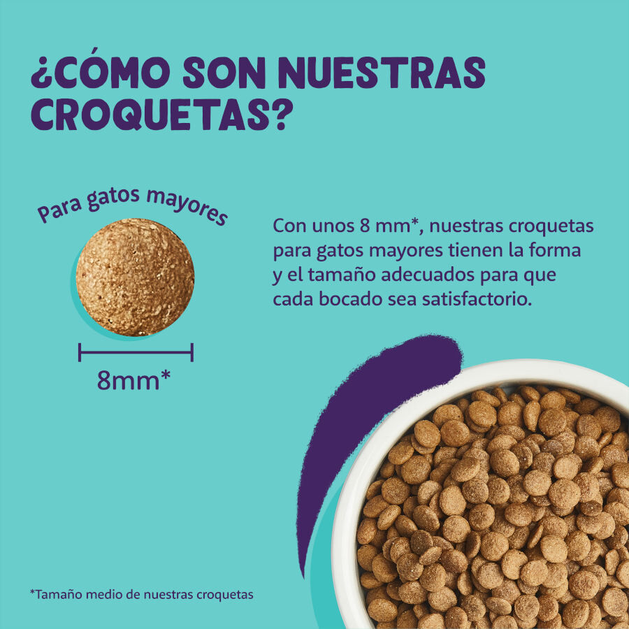 2 kg Edgard & Cooper Senior Ra&ccedil;&atilde;o de frango e peru para gatos   , , large Imagem n&uacute;mero 4