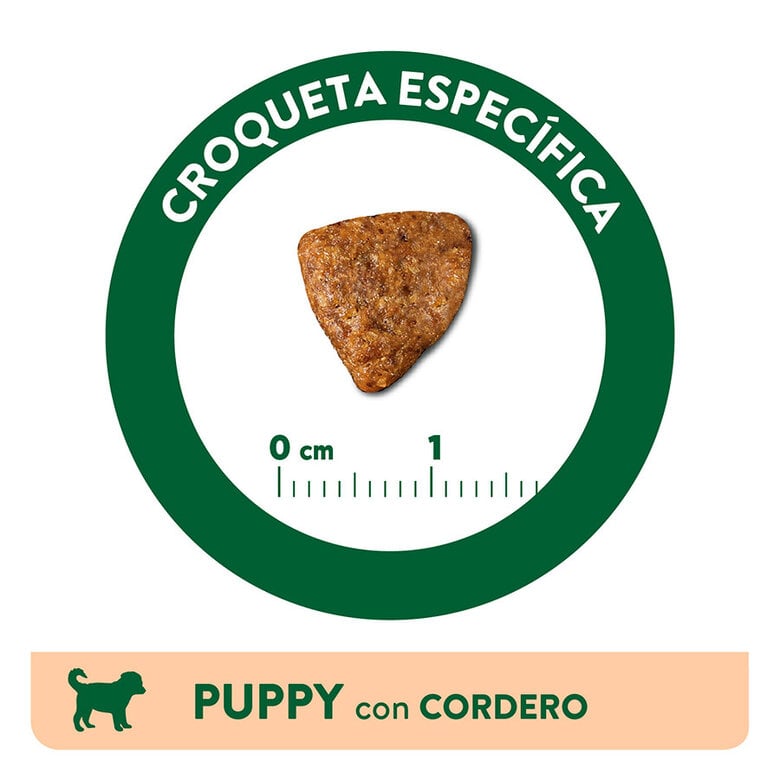 12 kg Affinity Libra Puppy Ração de cordeiro e arroz para cães,  Imagem número 3 12 kg Affinity Libra Puppy Ração de cordeiro e arroz para cães, , large Imagem número 3