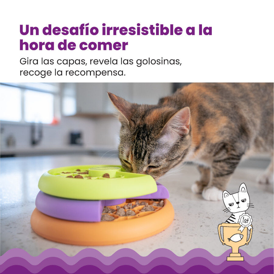 Catstages Nina Ottosson Kitty Lickin&rsquo; Layers Comedouro Interativo para gatos, , large Imagem n&uacute;mero 7