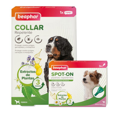 Beaphar Pack com Pipetas e Colar Repelente para Cães.