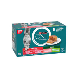 Purina ONE Esterilizado Salmón y Pavo para gatos