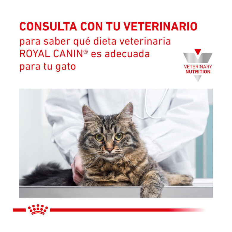 9 kg Royal Canin Veterinary Urinary Moderate Calorie ração para gatos ,  Imagem número 9 9 kg Royal Canin Veterinary Urinary Moderate Calorie ração para gatos , , large Imagem número 9