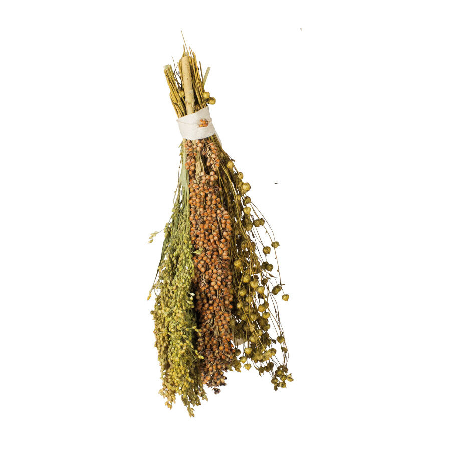 JR Farm Pick & Fly Ramalhete de Sementes para p&aacute;ssaros, , large Imagem n&uacute;mero 1