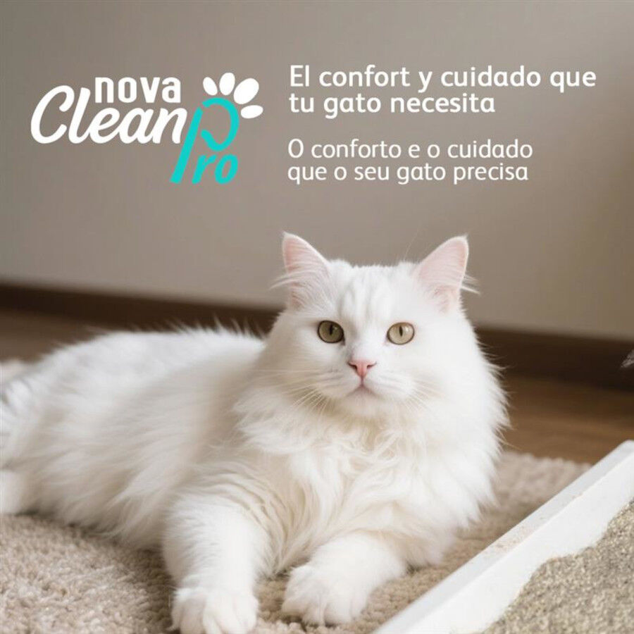 Nova Clean Pro Areia Probi&oacute;tica para gatos, , large Imagem n&uacute;mero 5